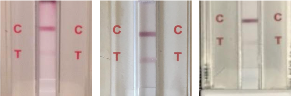 Faint Line On Drug Test - Home Door (1024x351), Png Download