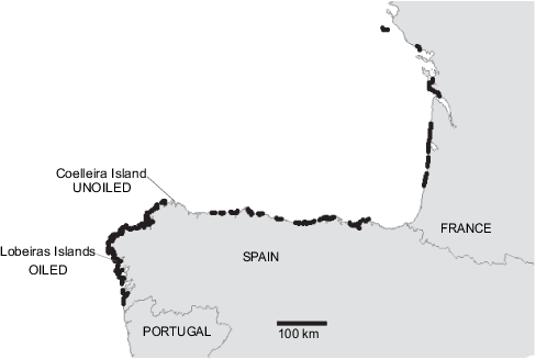 Coastal Areas Affected By The Prestige Oil Spill In - Map (488x327), Png Download