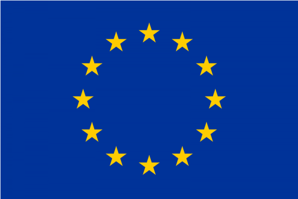 U003e European Union Flags Wallpapers - Portugal (600x600), Png Download