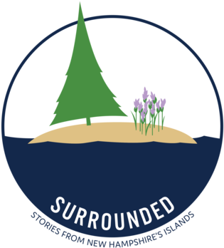 Free Windows Xp Crack Download Surrounded - Illustration (400x400), Png Download