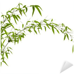 Free Bamboo Leaves Png - Bamboo (400x400), Png Download
