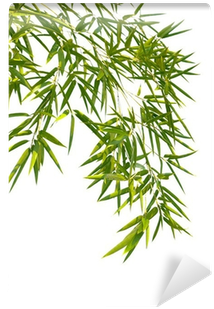 Bamboo (400x400), Png Download