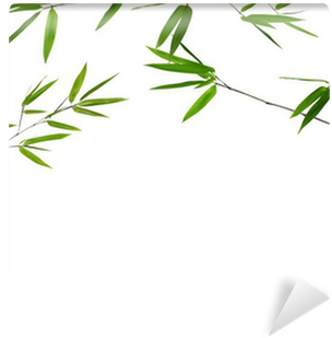 Frame From Green Stem With Bamboo Leaves Wall Mural - Illustration (400x400), Png Download