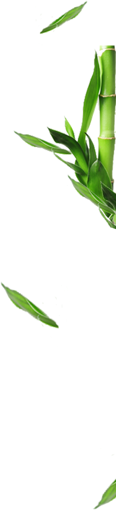 The Go Towel - Towel (242x1056), Png Download