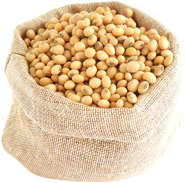 Leaves Sack Of Soybeans - Soya Beans (369x364), Png Download