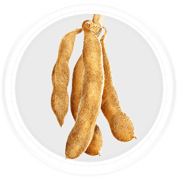 More Beans Per Pod, More Roots, More Nodes - Lil Fan Bottle Holder, Nfl Green Bay Packers (572x572), Png Download