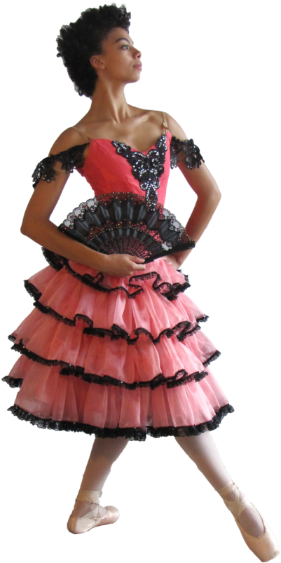 Tutu & Bodice Kit - Skirt (768x1024), Png Download