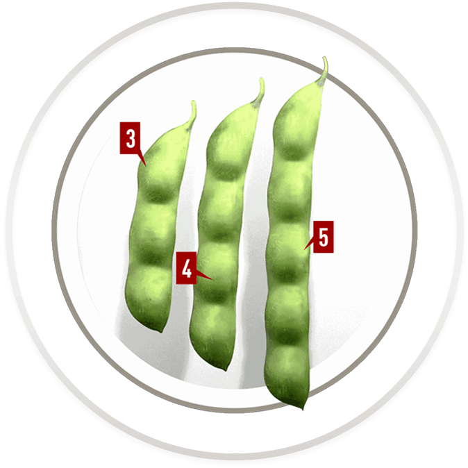 Built On Game-changing Technology - Circle (740x740), Png Download