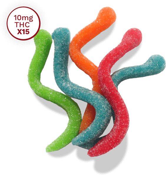 Gummy Worms - Gummy Candy (600x600), Png Download