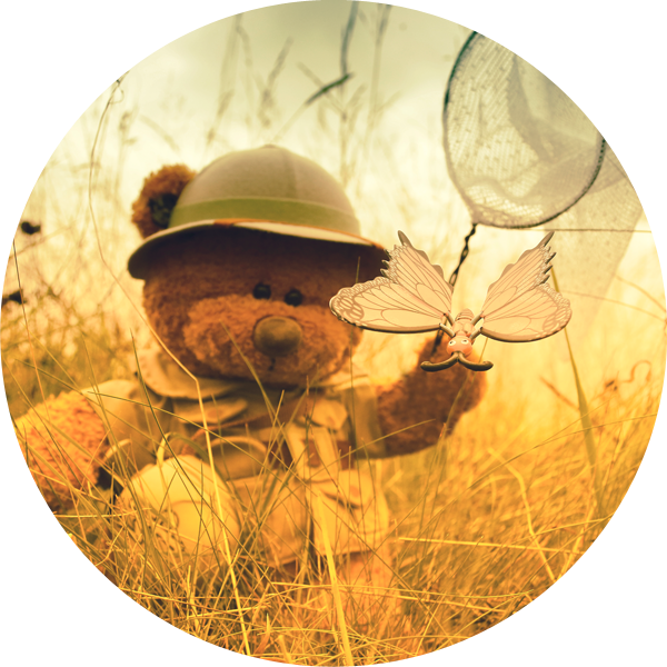 Teddy Bear Picnic Circle - Teddy Bear (600x600), Png Download