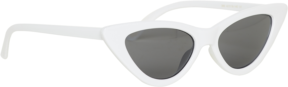Winter Cat Sunglasses - Glasses (1000x1500), Png Download