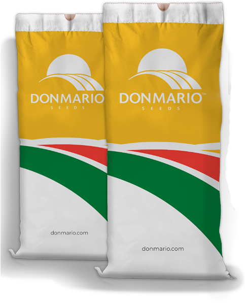 Bolsas - Handbag (500x618), Png Download