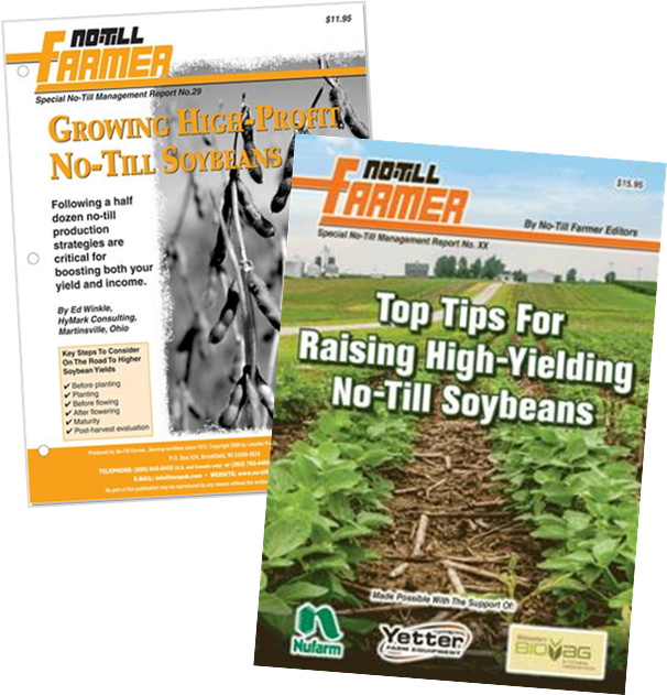 Grass (606x631), Png Download