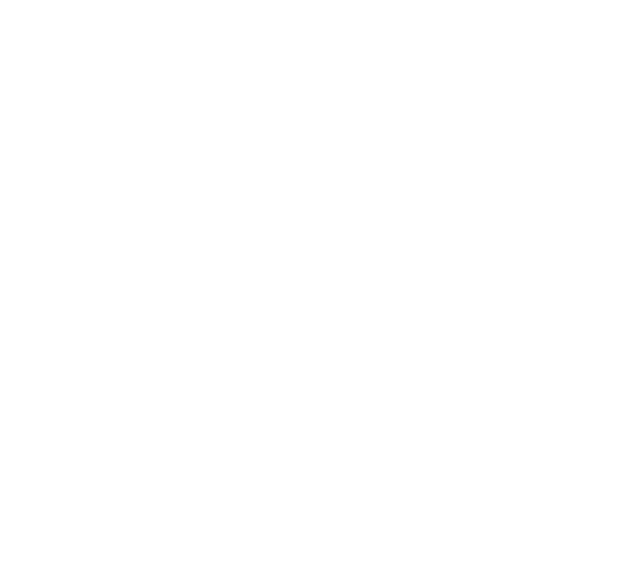 Star Fish White Png (600x534), Png Download
