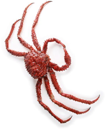 Charlie Horse Restuarant - Charlie Horse Restaurant (373x480), Png Download