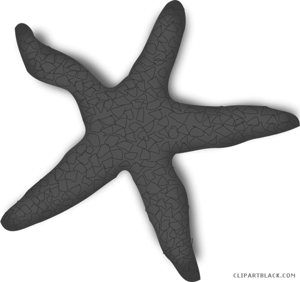 Starfish Animal Free Black White Clipart Images Clipartblack - Estrella De Mar Roja (600x563), Png Download