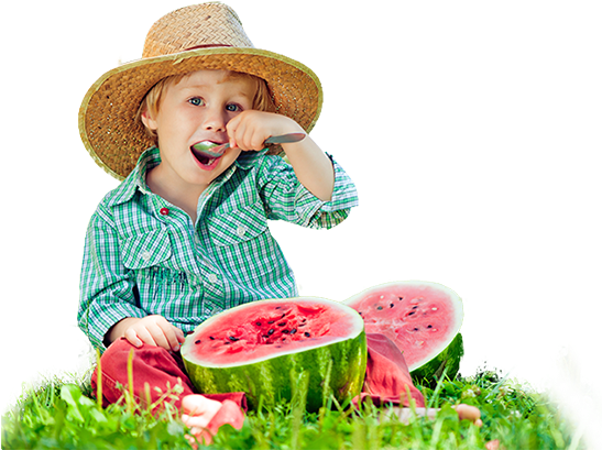 Kid Eating Water Melon - Eating Watermelon Transparent (556x421), Png Download