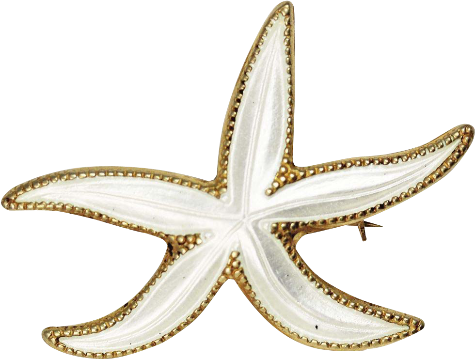 David Andersen White Enamel Sterling Silver Starfish - Brooch (979x979), Png Download
