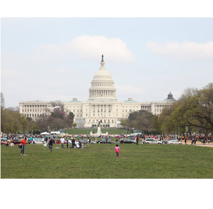 Washington-dc - U.s. Capitol (430x430), Png Download