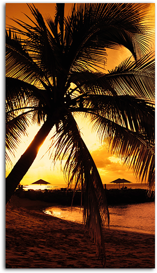 Wicked Game Big - Fahad Name Meaning In Arabic (485x550), Png Download