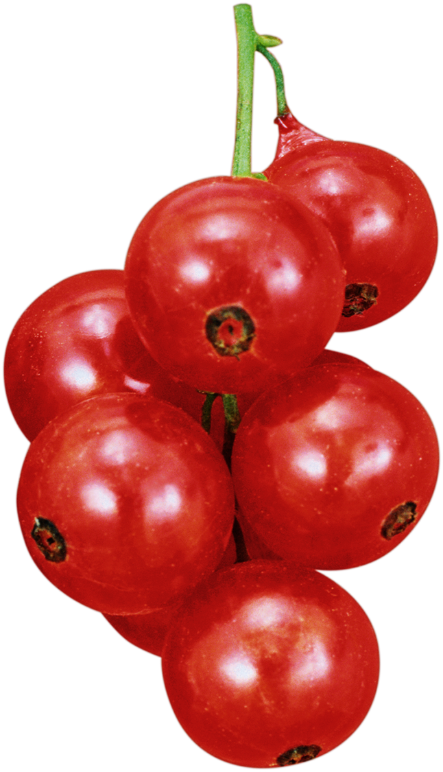 Blackcurrant (752x1200), Png Download