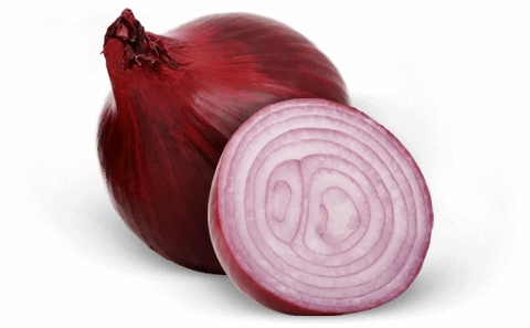 Onion (480x297), Png Download