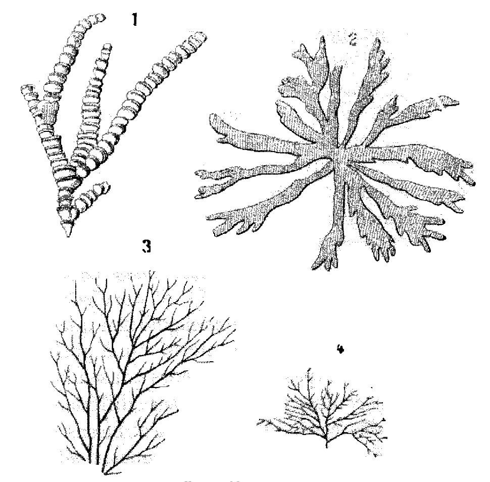 File - La Nature - 1877 - S2 - P085 - Les Périodes - Illustration (970x954), Png Download