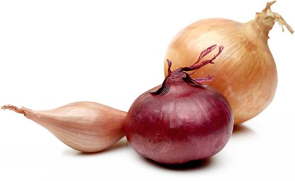 The Highly Developed Drying And Preservation Techniques - Red Onion (595x366), Png Download
