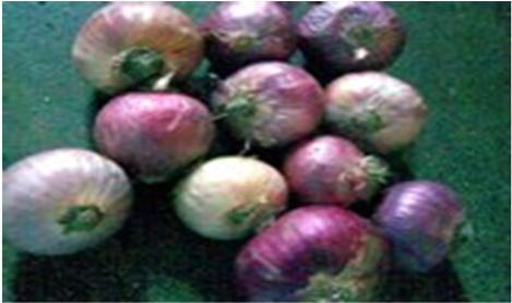 Red Onion Stored At Ambient Condition - Red Onion (903x277), Png Download