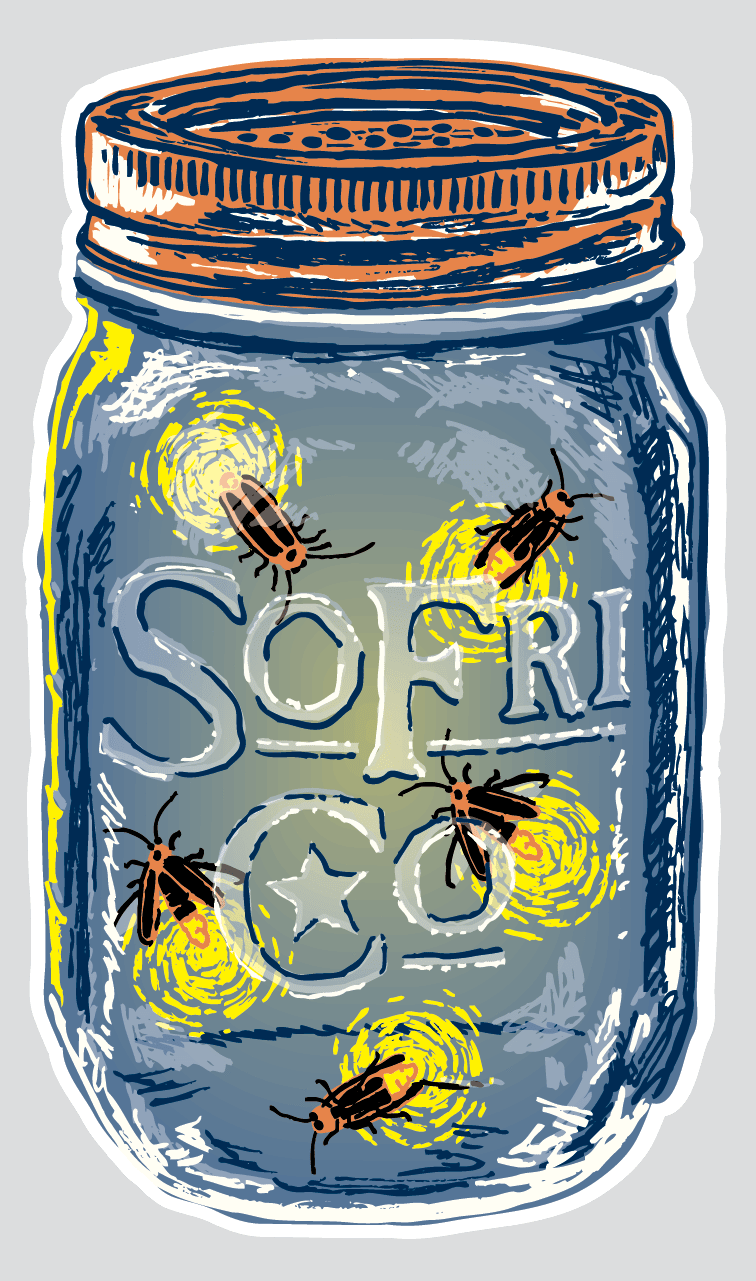 Lightning Bug Decal - Southern Fried Cotton Stickers (756x1281), Png Download