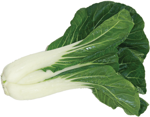Free Png Bok Choy Image Png Images Transparent - Chard (850x396), Png Download