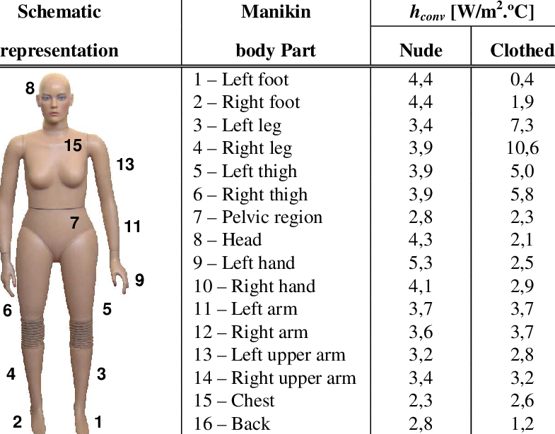Convective Heat Transfer Coefficients For The 16 Body - Convection (785x615), Png Download