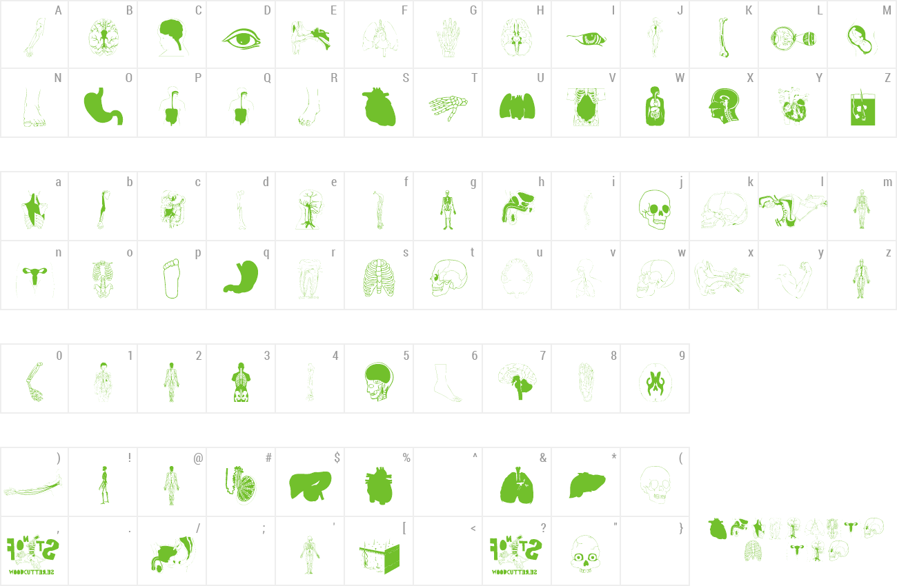 Font Human Body Parts Preview - Number (1300x850), Png Download