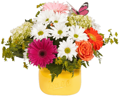 Simliar Items - Color (500x611), Png Download