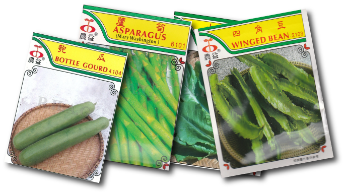 Shanghai Bok Choy - 50 Asian Heirloom Winged Bean Seed By Stonysoil Seed (685x385), Png Download