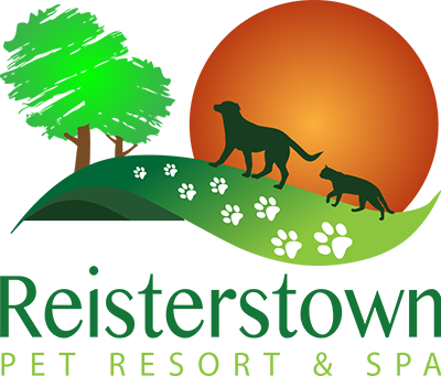 Pet Boarding - Rbk Pet Resort & Spa (400x341), Png Download