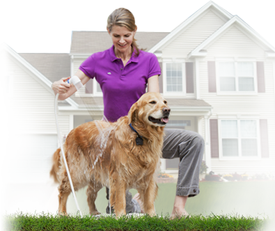 Shower A Dog (395x332), Png Download