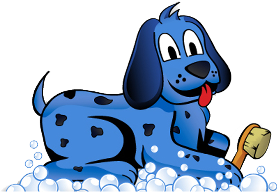 Bath To Save - Bathing (558x387), Png Download