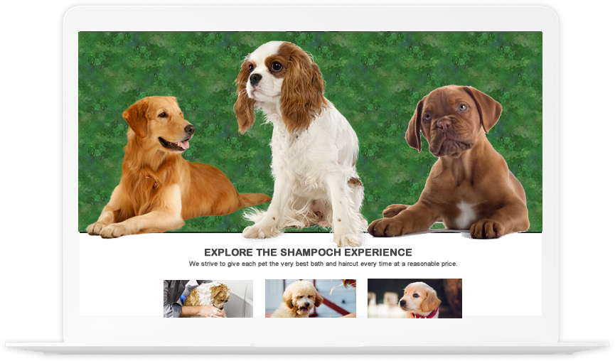 Image Is Not Available - Love Puppies (865x508), Png Download