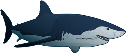 Great White Shark - Imagenes De Tiburones (480x260), Png Download