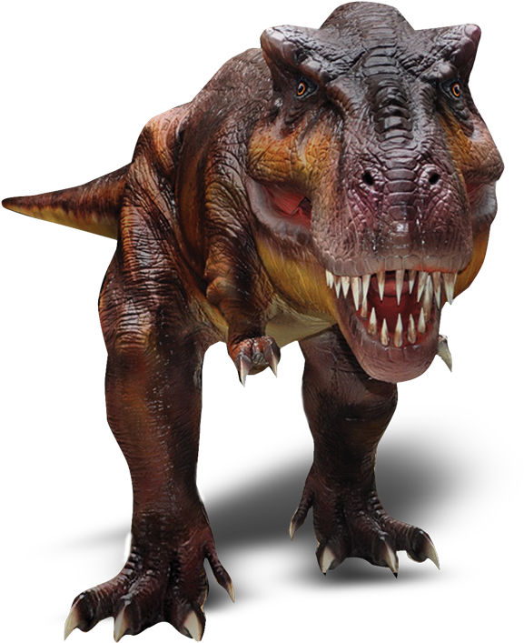 Days Of Dinosaurs - Dinosaurios De Frente Png (591x745), Png Download