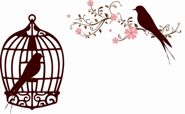 Caged Bird Png Transparent Image - Floral Bird Cage Clipart (650x400), Png Download