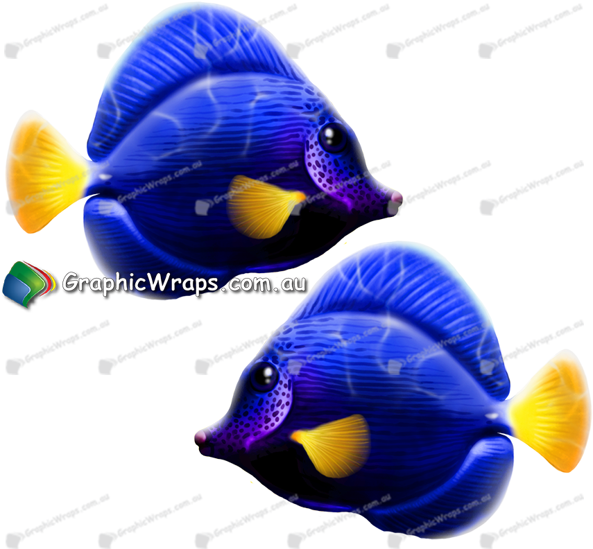 Purple Tang - Lionfish (884x1073), Png Download