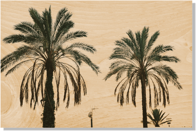 Postcard (750x1000), Png Download