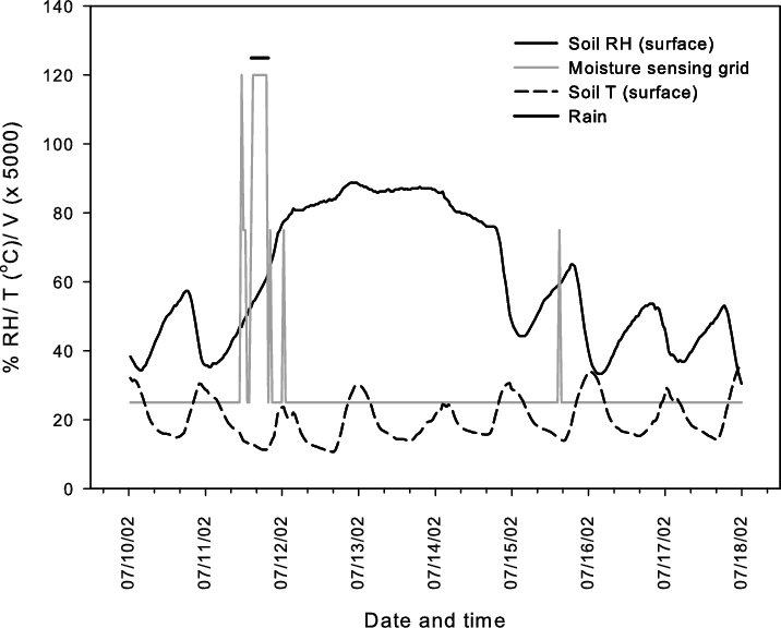 Light Rain Event At Sorkuli 01 On 12 July 2002 Was - Diagram (716x576), Png Download
