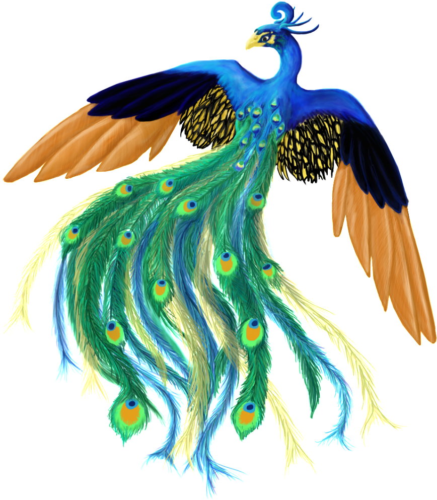 Artwork Ideas, Peacock Feathers, Free Images, Peacocks, - Peacock (941x1023), Png Download