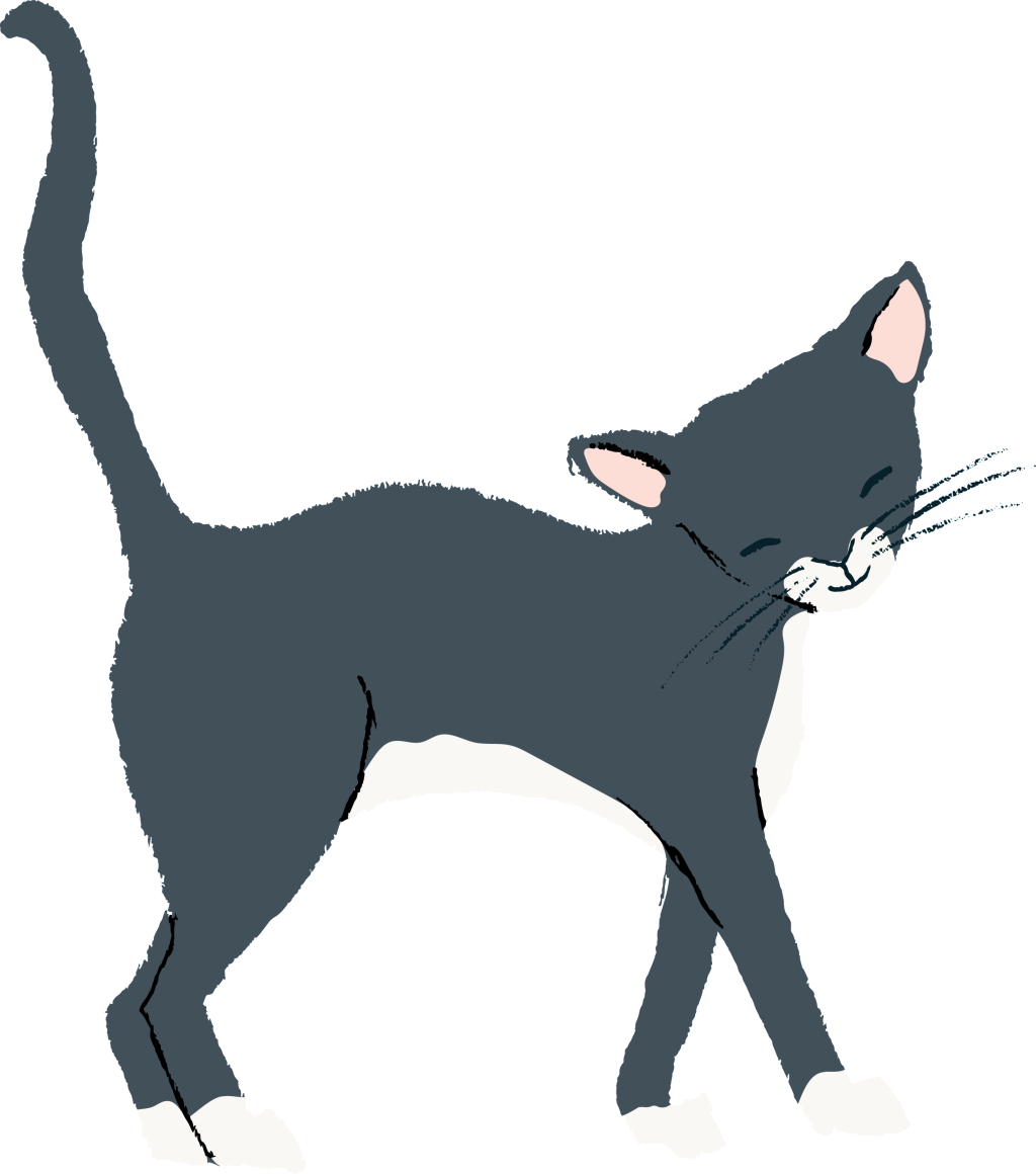 Hand Drawn Dark Gray Walking Smile Cat Transparent - Cat Cartoon Png Walking (1024x1160), Png Download