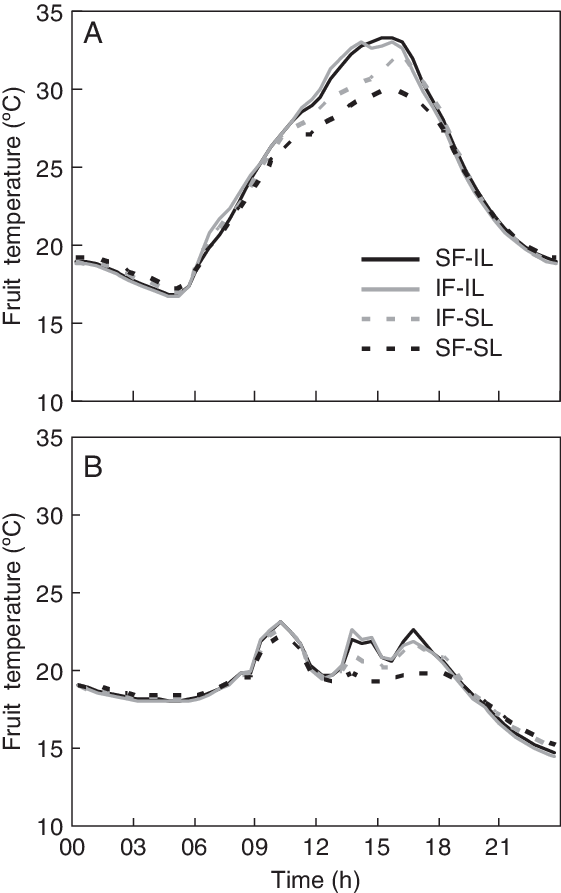 Impact Of The Different Shading Treatments On Fruit - Temperature (561x893), Png Download