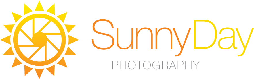 Capturing All Of Your Life's Sunny Days - Gold Alchemy Symbols Png (922x288), Png Download
