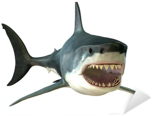 Great White Shark Canvas Art - Corey Fordstocktrek (400x400), Png Download
